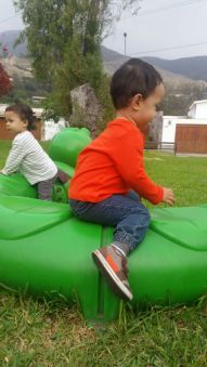 WhatsApp-Image-20160501