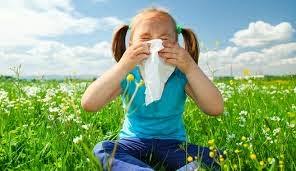 Resultado de imagen para virus de verano